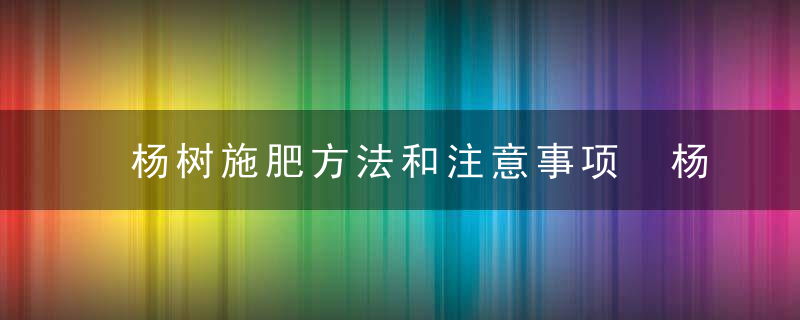 杨树施肥方法和注意事项 杨树施肥有什么值得注意的